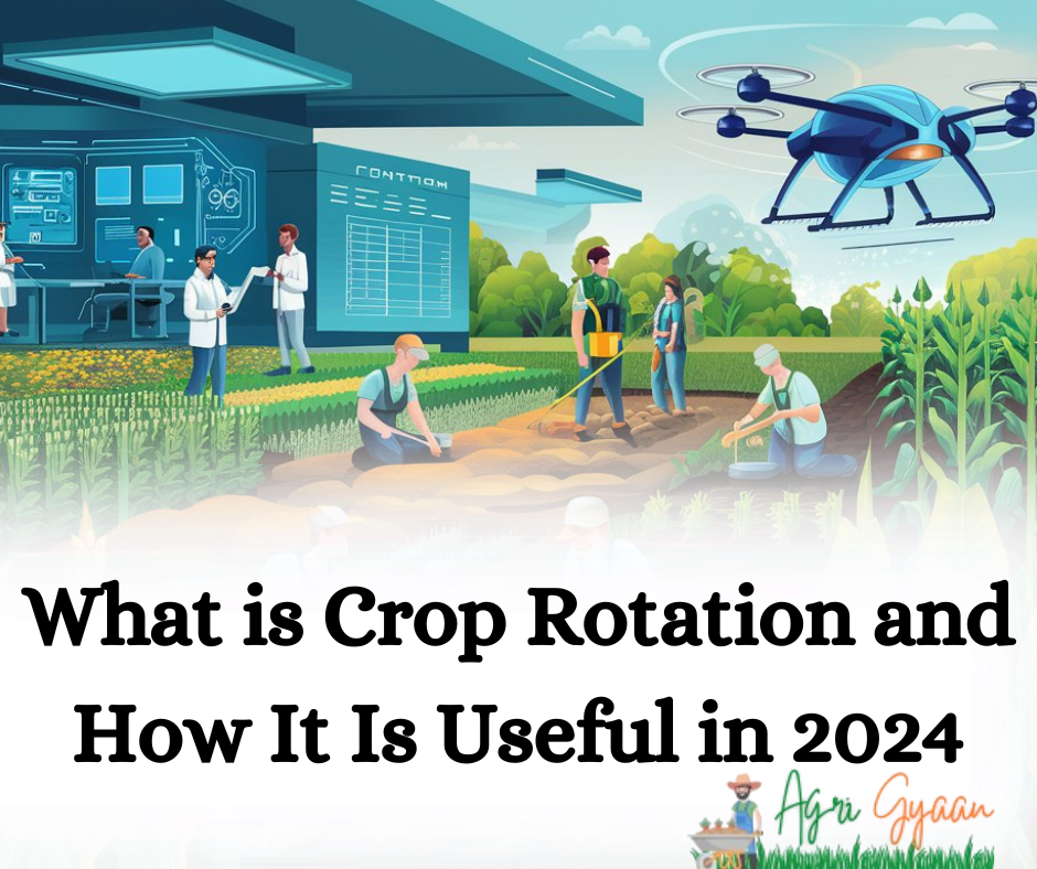 What is Crop Rotation and How It Is Useful in 2024